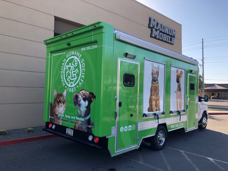 Mobile Adoption