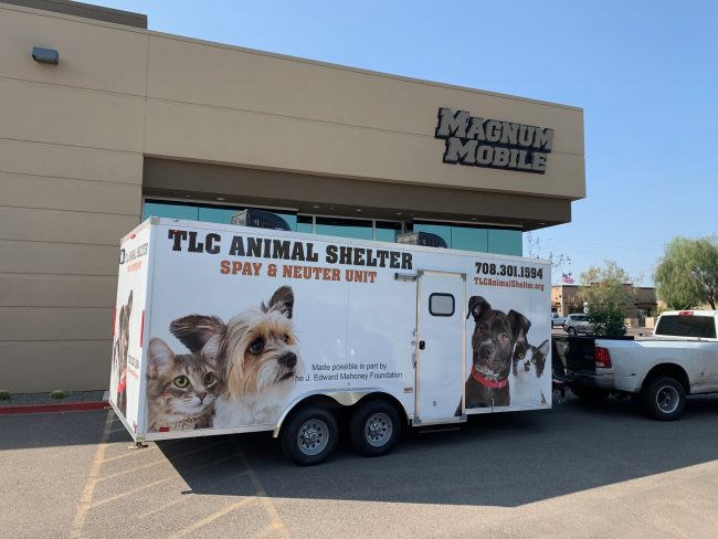 spay and neuter clinic trailer