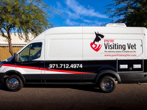 Mobile Veterinary Van